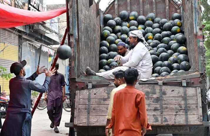Labourers Unload Watermelons at Rawalpindi Roadside Stall