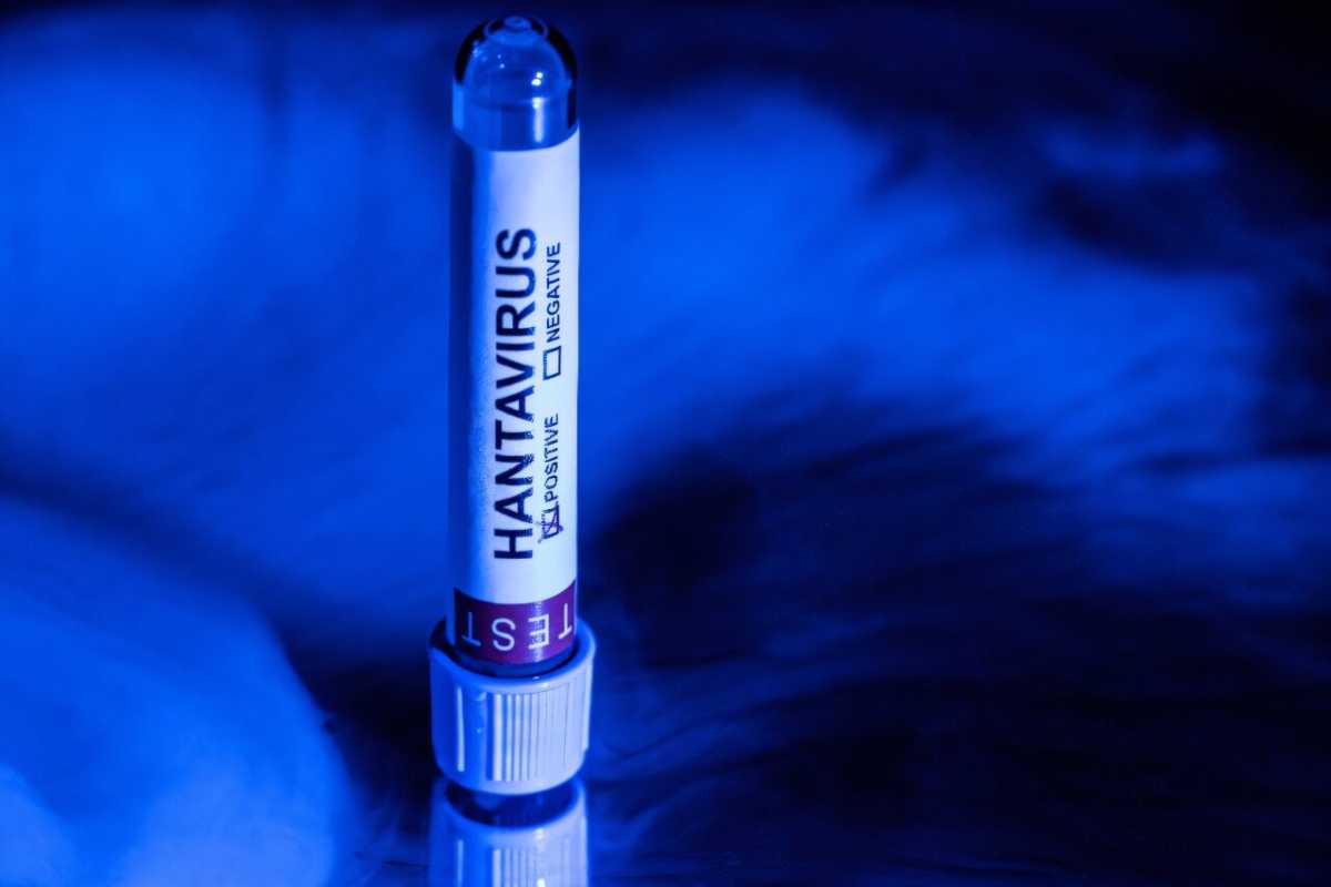 Hantavirus Outbreak Sparks Concerns Amidst COVID Fears