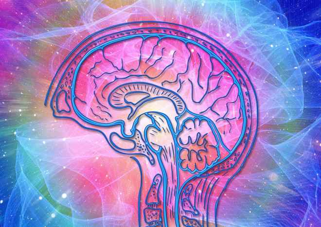 Prior Heart Attack Linked to Faster Cognitive Decline