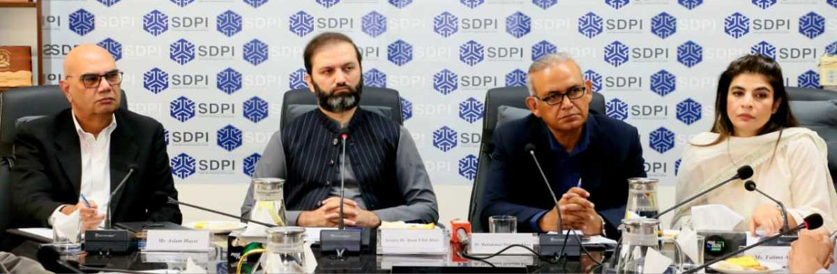 Pakistan can’t afford to miss emerging knowledge economy: Senator