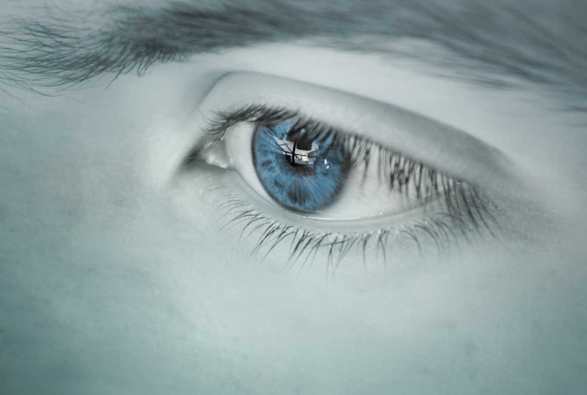 The rules neurons follow to make sense of what we see