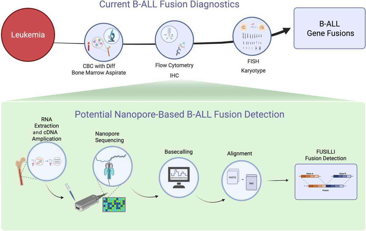 Novel Tool Enables High-Precision Leukemia Diagnostics