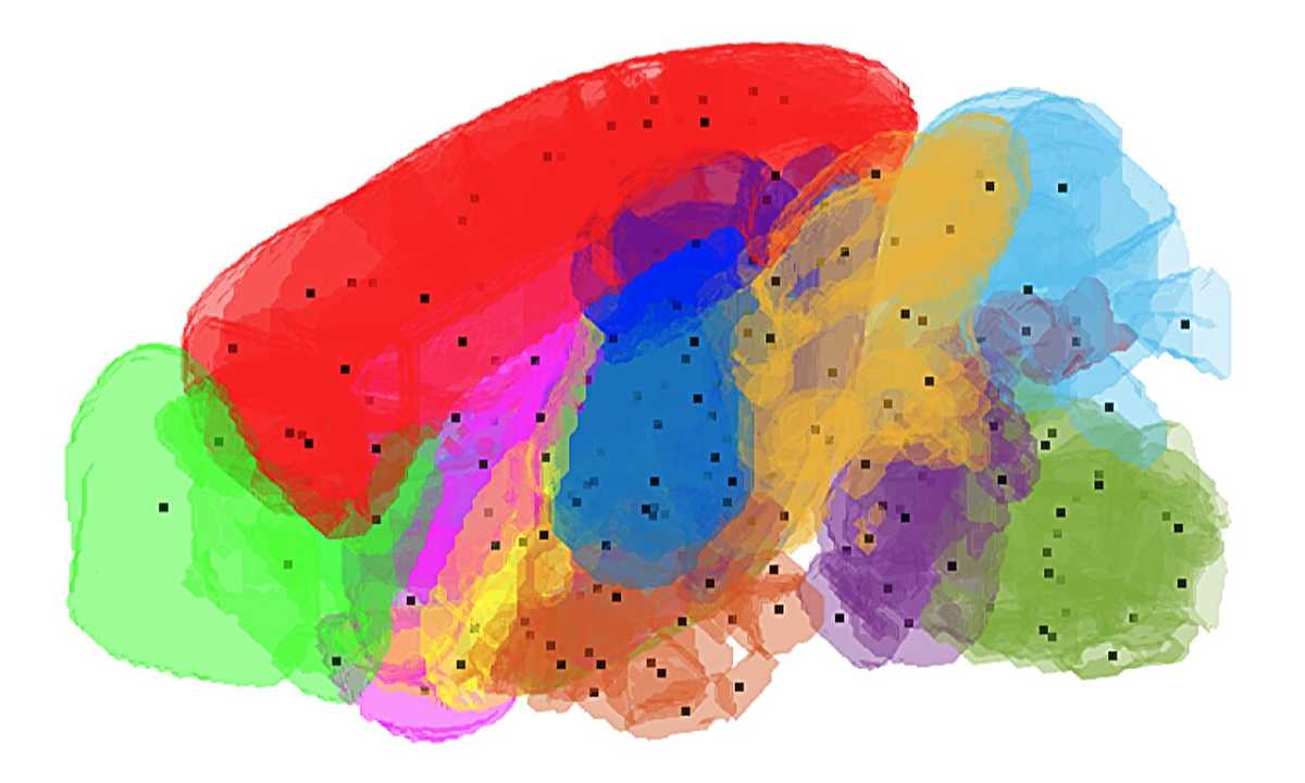 Genes Give Neurons a 'GPS' to Form Brain's Neural Circuits, Study Finds