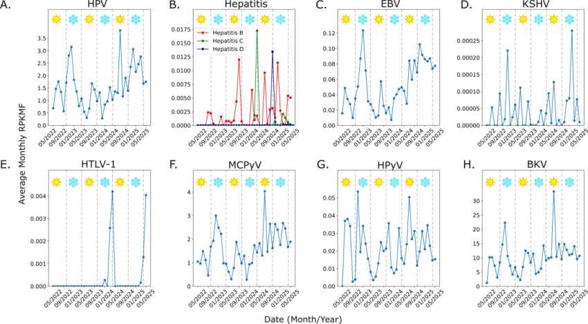 Cancer-linked Viruses Detected in Texas Wastewater, Opening New Public Health Insights