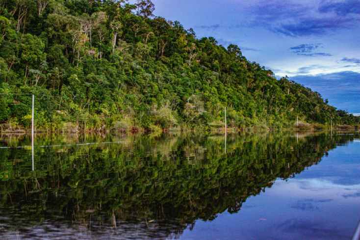 Illegal Gold Mining Causes Surges in Malaria in Amazon, with Devastating Health Impacts