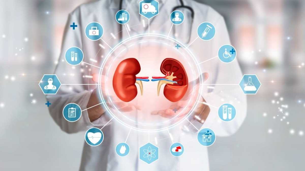 Clinical Decision Support System Does Not Improve Chronic Kidney Disease Outcomes