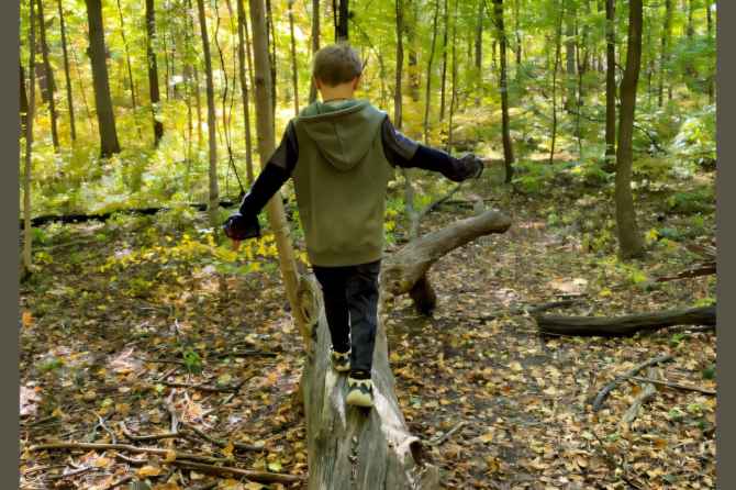 Nature May Benefit Psychological Well-Being of Disadvantaged Children More Than Others