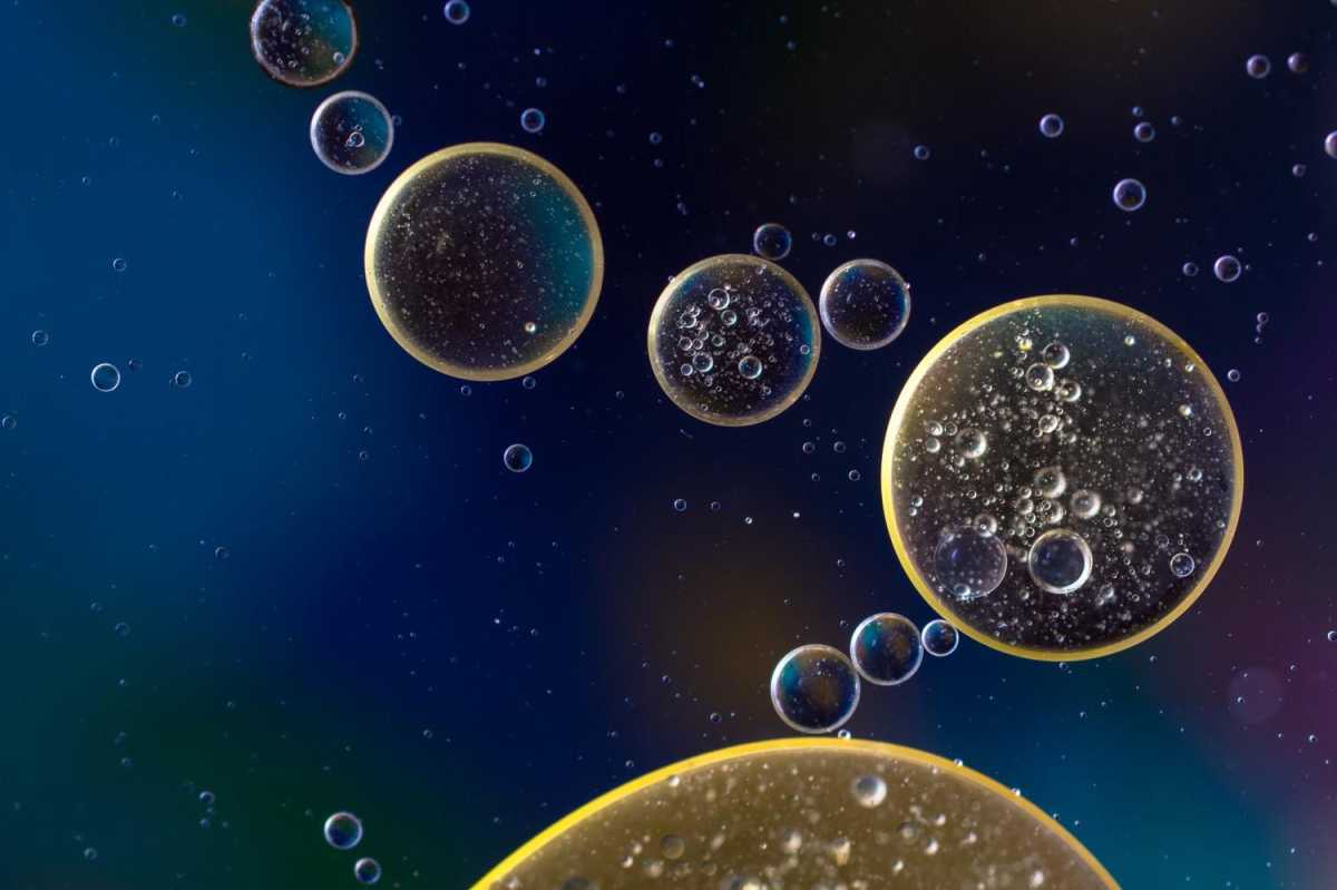 Novel CAR T cell therapy moves into clinical studies
