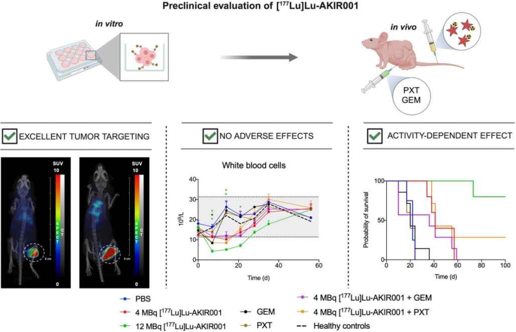 New targeted radiopharmaceutical therapy induces remission in pancreatic cancer model