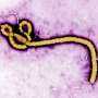 A look at major Ebola outbreaks and when the disease was first identified
