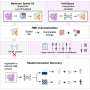 New AI Tool Could Revolutionize Cancer Treatment