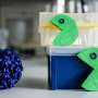 New CRISPR Approach May Open Path to Hepatitis E Treatment by Blocking Viral RNA