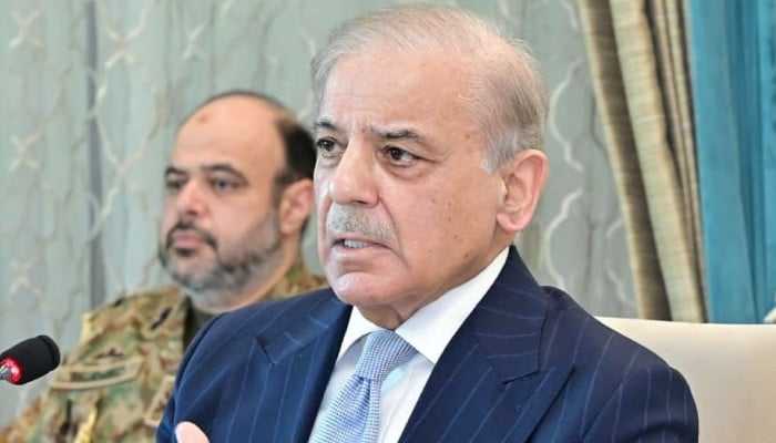 'Peace is never won easily': Pakistan's image transformed through Iran-US mediation, says PM Shehbaz