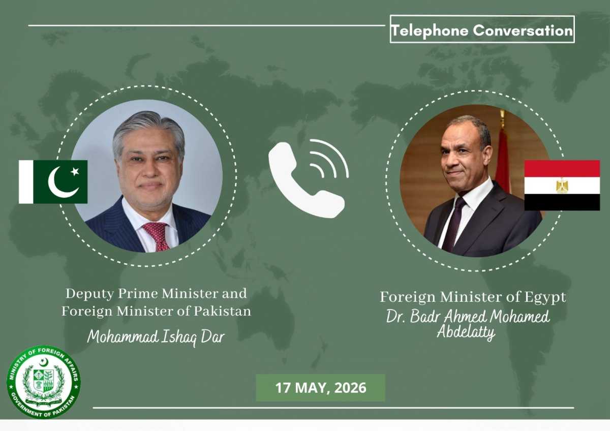 DPM, Egyptian FM Exchange Views on Regional Situation