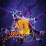 Longevity-linked APOE2 gene variant helps neurons repair DNA and resist aging and age-related diseases