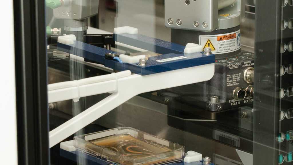 STAT+: The China Question is Tearing Biotech Apart