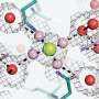 Inside the brain's memory gate: 50,000 cryo-EM 'movies' reveal a hidden ion filter with high stakes for brain developmen