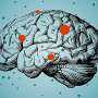 'Garbage collectors' of the brain grind to a halt in fatal multiple system atrophy