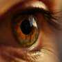 Written in the eye: How the retina's biological age could help predict osteoporosis risk