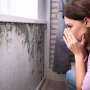 ATS: City-Wide Mold Intervention Can Reduce Asthma ED Visits