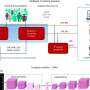 Baseline MRI lets AI predict Alzheimer's progression without cognitive testing