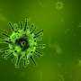 Ebola and Hantavirus Outbreaks Signal Need for Global Unity: WHO