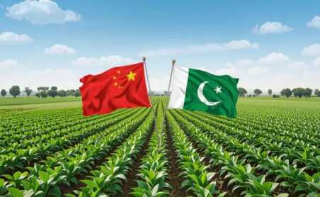 China’s Irrigation Technologies Viewed as Viable Lifelines for Pakistan Agriculture