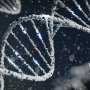 'Jumping gene' helps explain elevated pancreatic cancer risk in French-Canadians
