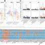 How Different SSRIs Affect Metabolism in Early Brain Development