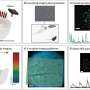 A new imaging approach captures brain activity across nine cell types at once