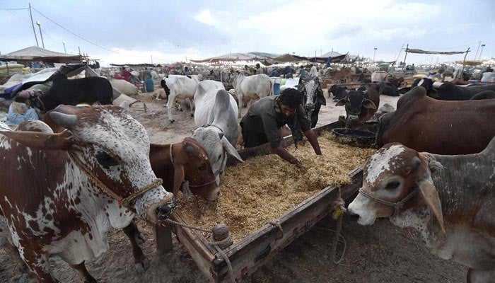 Federal Government Announces Eid ul Adha 2026 Holidays for Citizens