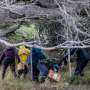 Argentines Hunting for Hantavirus Source Trap Rats in Ushuaia
