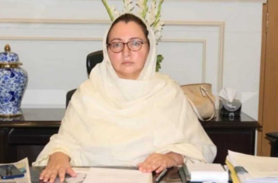 Commissioner Directs Strict Cleanliness, Security Measures at Cattle Sale Points