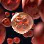 Discovery Shows How Cancer Takes Hold as Cells Divide