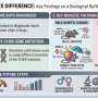Strong Genetic Mutation Overrides Female Protective Effects in Autism, Researchers Discover