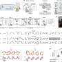 The neural basis of thought symbols identified for the first time