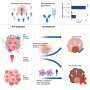 Tumor Microenvironment Features May Predict Immunotherapy Response in Rare Cancers