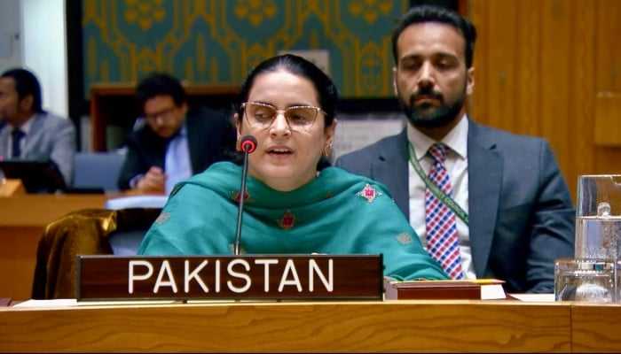 At UNSC, Pakistan Slams India Over Terrorism and Persecution