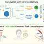 Scientists Discover Pan-Arenavirus Vaccine Approach