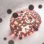 Linking lysosomal dysfunction to severe neurological disorders