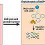 Novel Combination Therapy Could Reduce Leukemia Relapse Rate