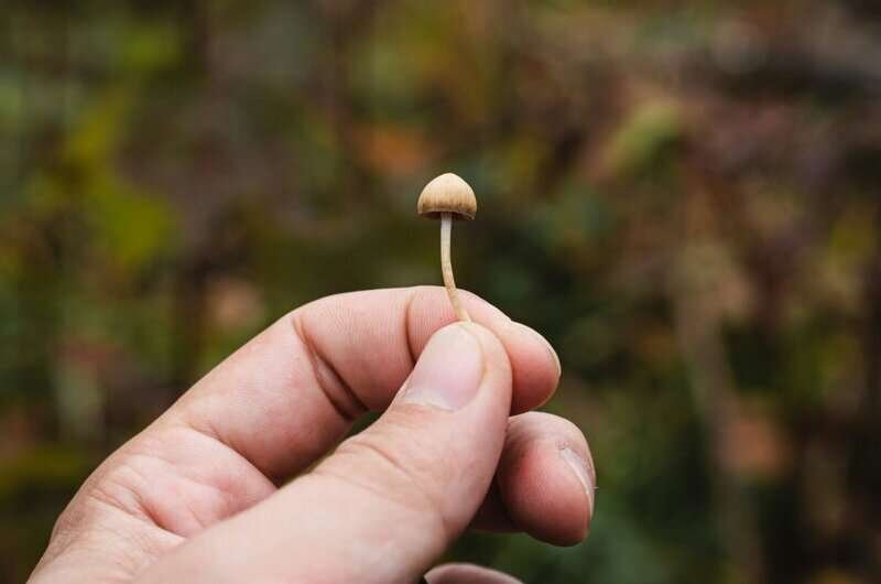 A single dose of psilocybin eased depression symptoms for months, our study found