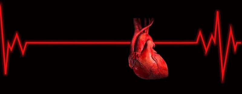 AI unlocks cardiac MRI reading without manual labels, beating general models by 35%