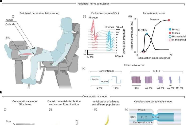Spinal Stimulation Data Suggest High-Frequency Pulses May Miss Key Nerve Pathways