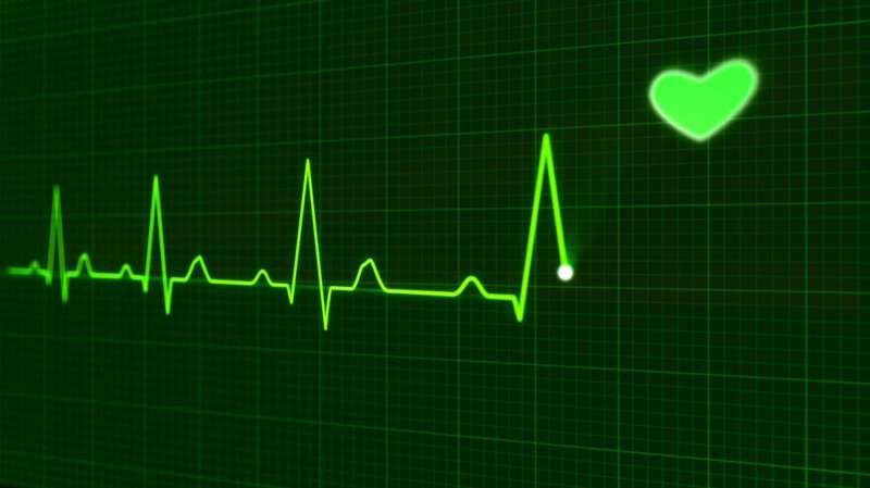 Scientists Uncover Protein That May Aid Failing Hearts