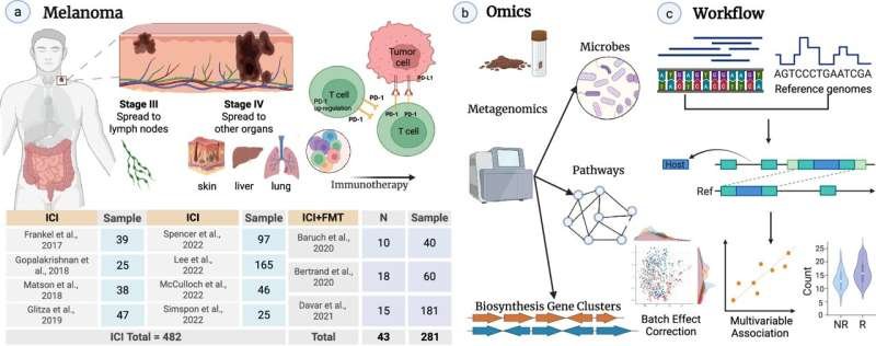 Gut Bacteria Linked to Improved Immunotherapy Success in Melanoma Patients