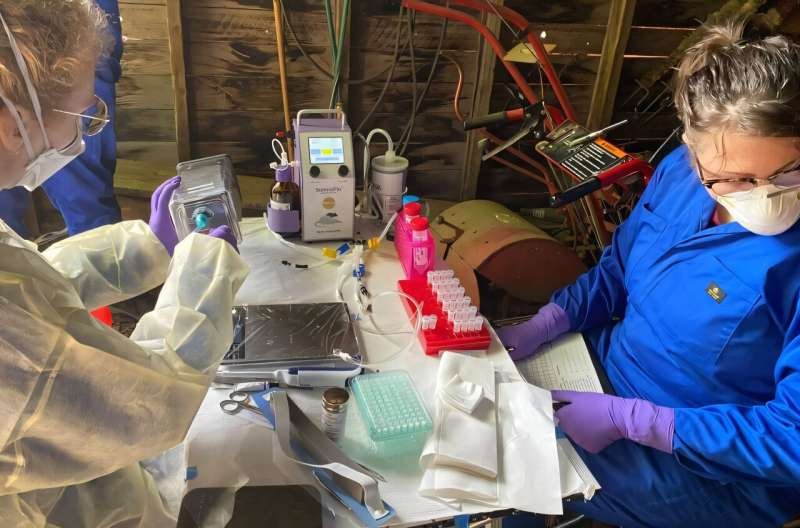 High prevalence of hantavirus in some areas of the Pacific Northwest