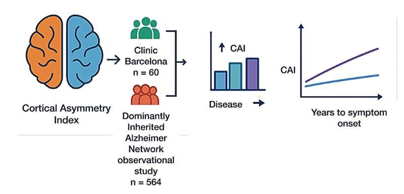 Researchers develop index to analyze uneven atrophy of brain regions due to Alzheimer's disease