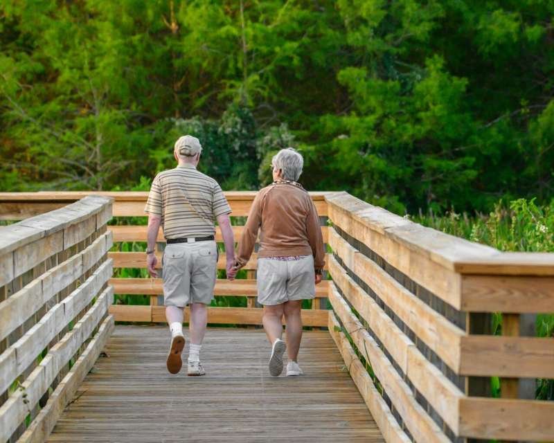 Structured lifestyle programs may help slow aging in older adults, study finds