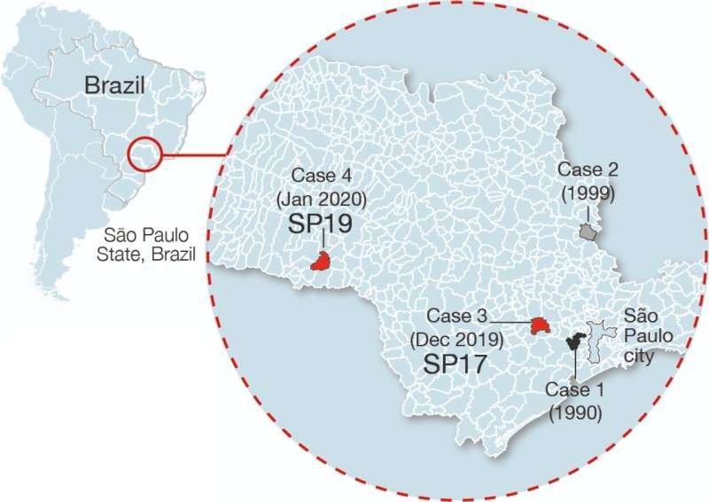 Sabiá Virus Circulating in Brazil for Decades Shows Genetic Changes